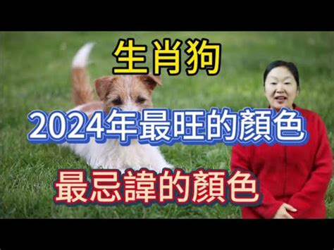 屬狗幸運顏色|【屬狗的幸運顏色】解開2024屬狗幸運色之謎！提升。